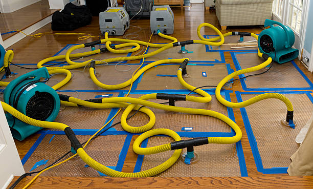 Professional Basement Flood Cleanup technician working in Flint Hill, VA